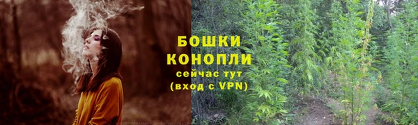 хмурый Волосово