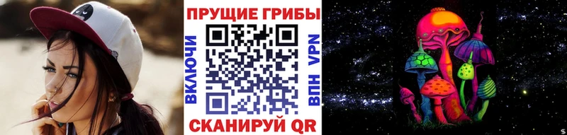 Купить где  Боровск  Галлюциногенные грибы ЛСД 